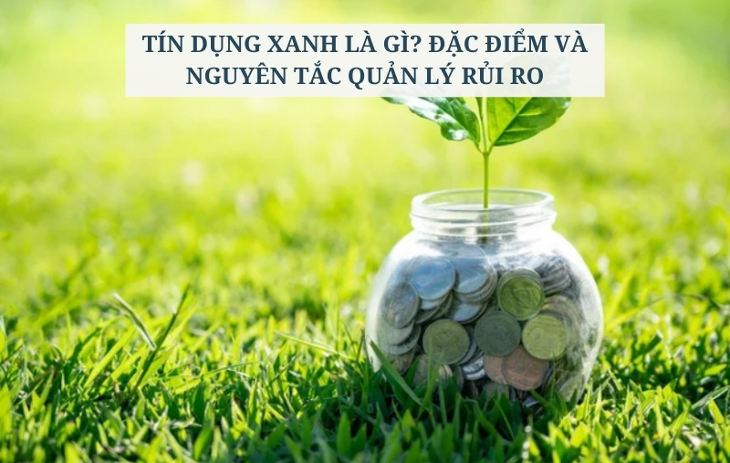 Tín dụng xanh là gì? Đặc điểm và nguyên tắc quản lý rủi ro