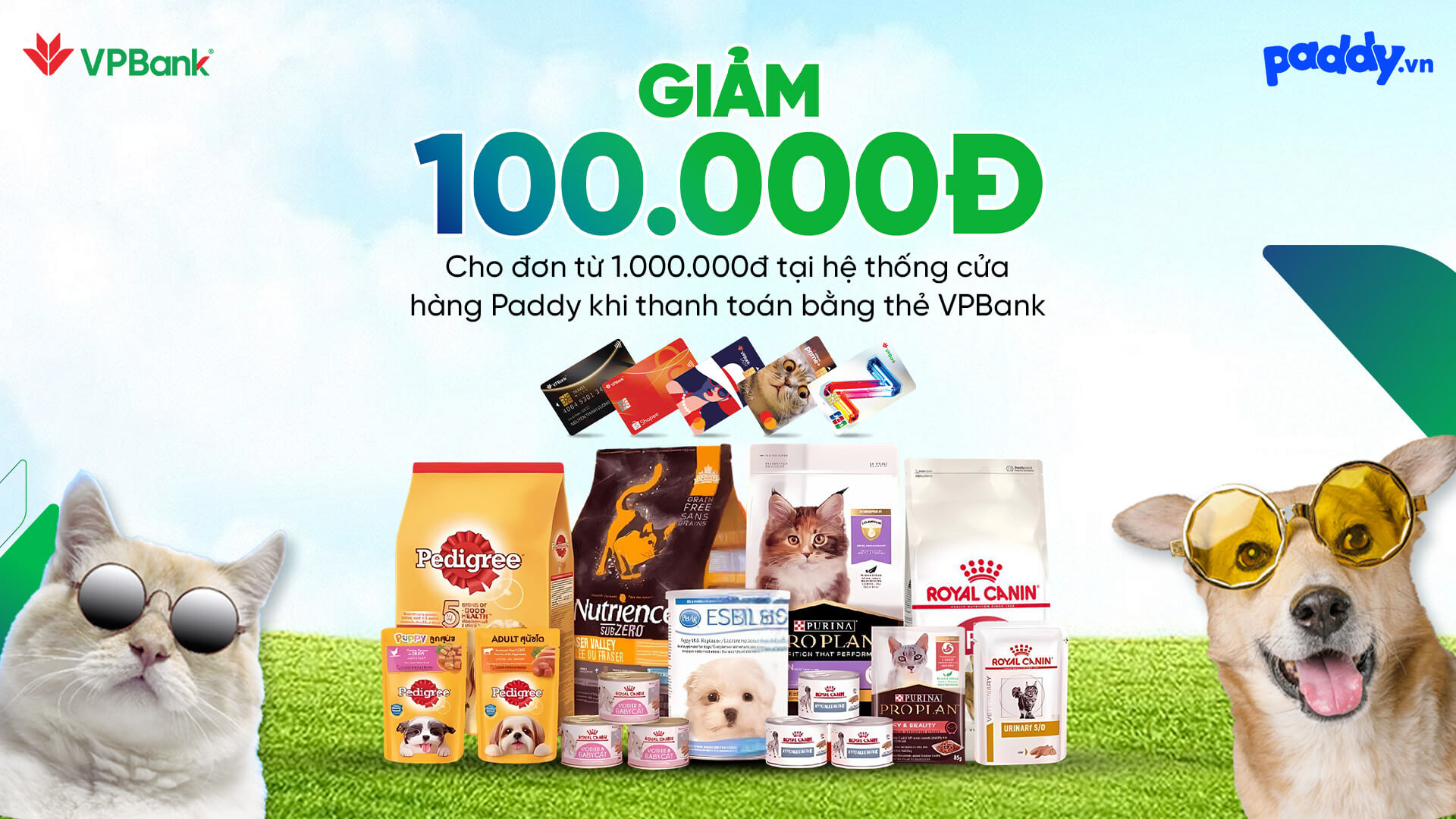 Ưu đãi chi tiêu thẻ VPBank tại Paddy.vn
